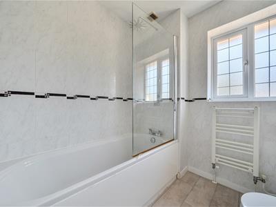 Picture 17